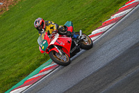 anglesey;brands-hatch;cadwell-park;croft;donington-park;enduro-digital-images;event-digital-images;eventdigitalimages;mallory;no-limits;oulton-park;peter-wileman-photography;racing-digital-images;silverstone;snetterton;trackday-digital-images;trackday-photos;vmcc-banbury-run;welsh-2-day-enduro